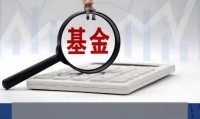 公募证券投资基金(公募证券投资基金的基金合同生效日)