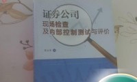证券公司内部控制(证券公司内部控制指引最新版)