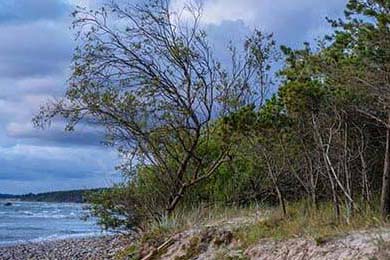 李小加：主权国家全面接入虚拟货币无异于“饮鸩止渴”