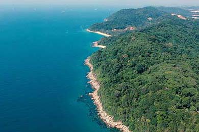 （年终特稿）中国经济这一年：货币政策发力见成效