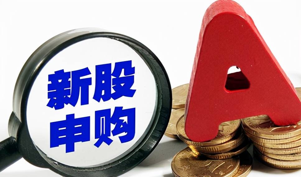 证券公开发行(证券公开发行和非公开发行的区别)