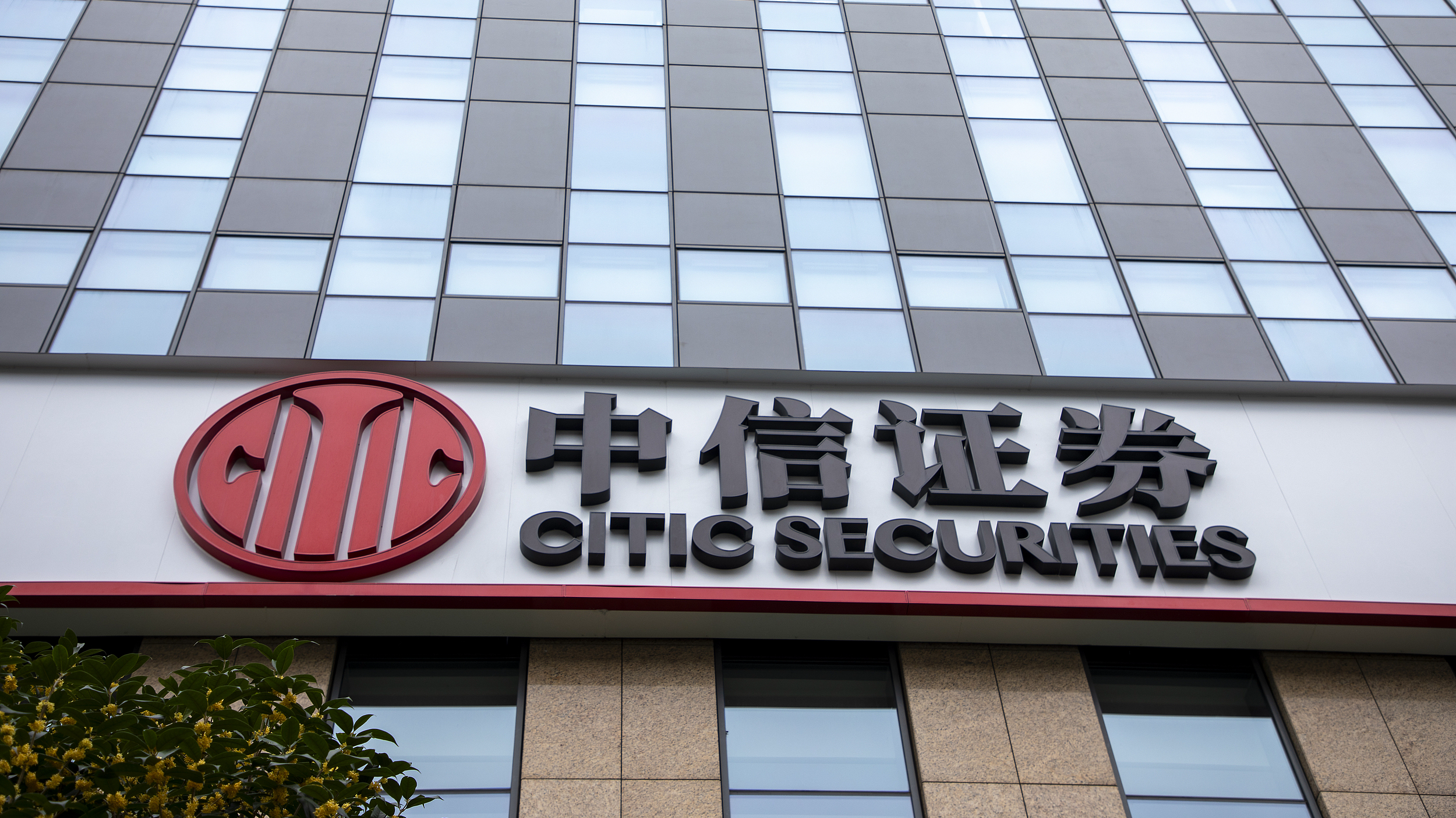 中国证券登记结算公司(中国证券登记结算公司官网查询入口)